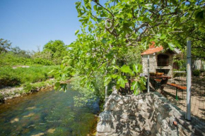 House next to the river Miro